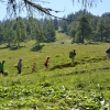 Familienwochenende Wurzeralm